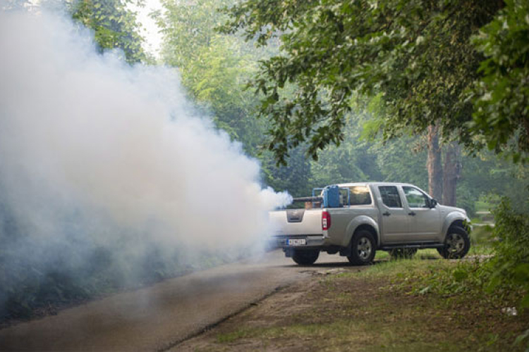 Földi szúnyoggyérítés lesz csütörtökön Tamásiban