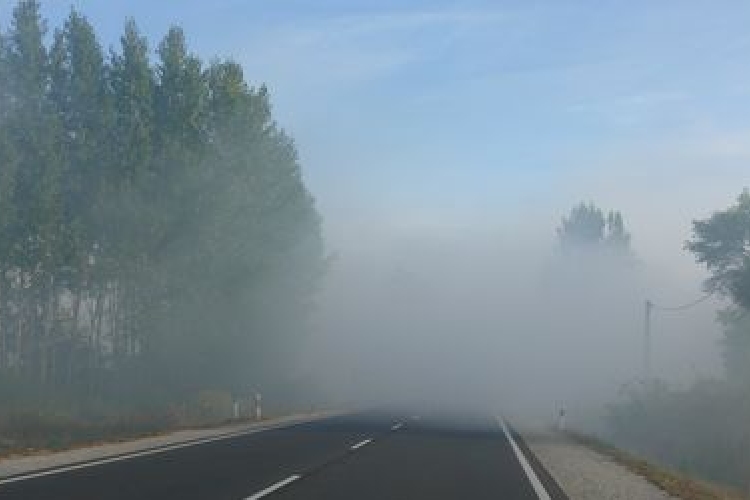 Gázolás a 61-es számú főúton