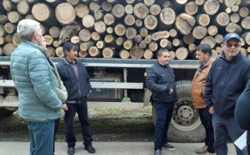 A tragikusan elhunyt gyulaji fiatalok családjainak vásároltak tűzifát 