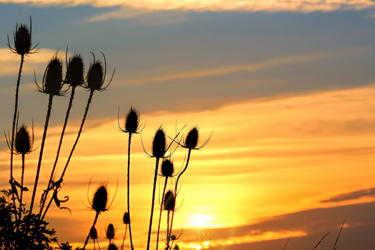 Jövő hét elején jöhet a hőség után némi enyhülés
