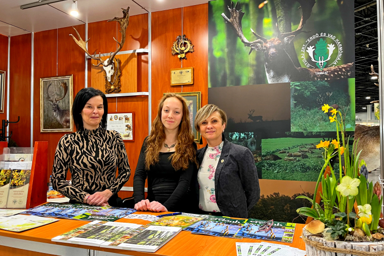 A Gyulaj Zrt. is képviseltette magát a FeHoVa-n