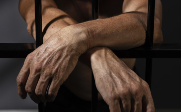 Soha többé nem szabadulhat: életfogytiglant kapott a tamási nő gyilkosa