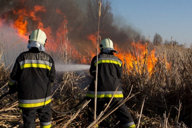 Tizenhat tűzesetből tizenkettő szabadtéri volt